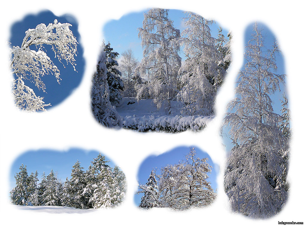 Bakgrundsbilder - Skrivbordsunderlägg