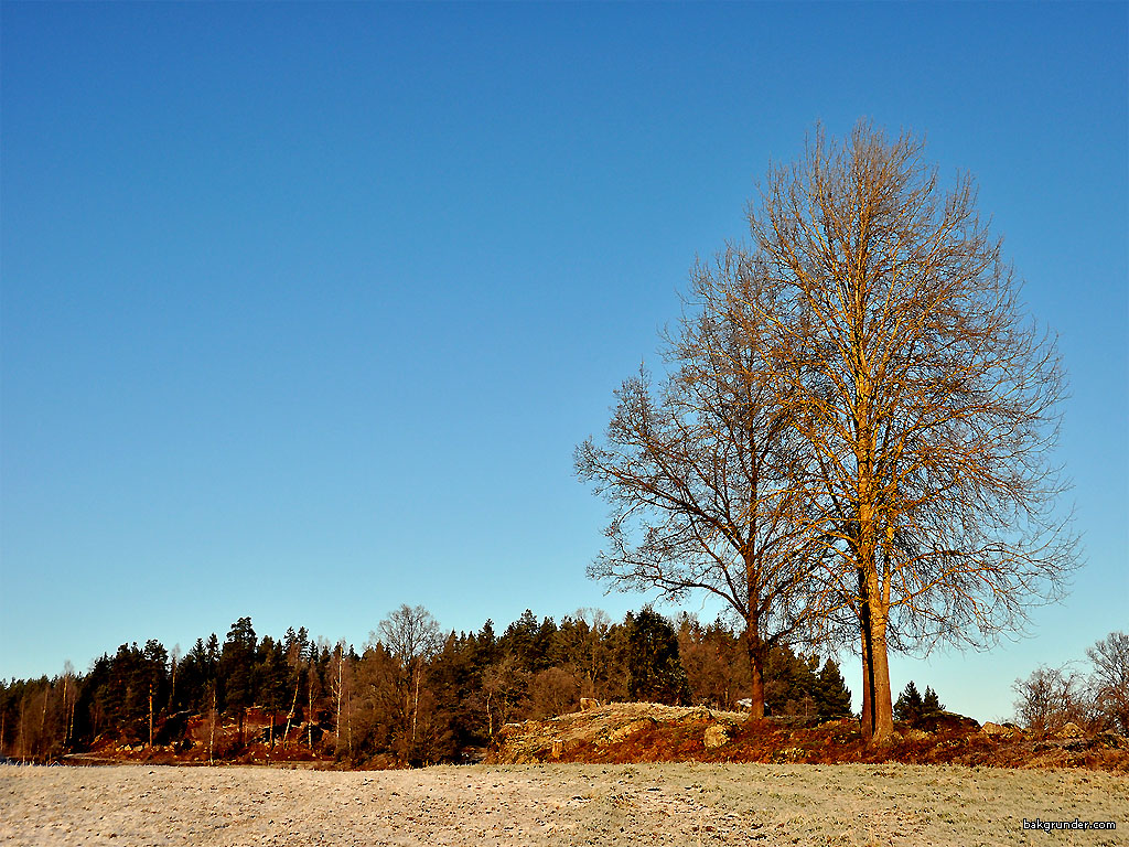 Wallpaper - Skrivbordsunderlägg