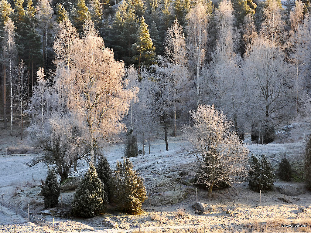 Bakgrundsbilder - Skrivbordsunderlägg