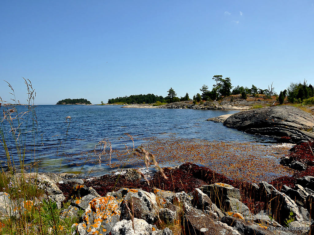 Bakgrundsbilder - Skrivbordsunderlägg