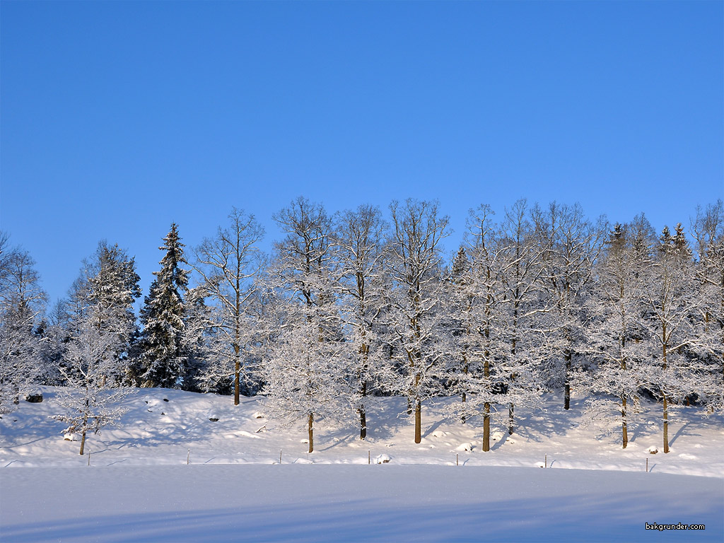 Bakgrundsbilder - Skrivbordsunderlägg