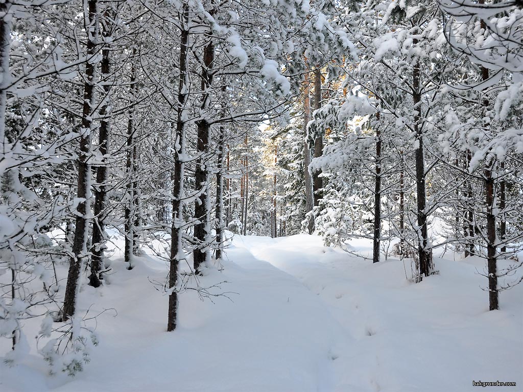 Bakgrundsbilder - Skrivbordsunderlägg