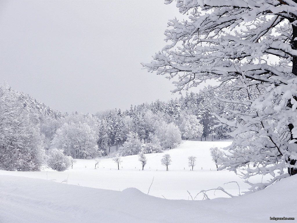 Bakgrundsbilder - Skrivbordsunderlägg