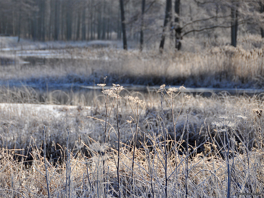 Bakgrundsbilder - Skrivbordsunderlägg