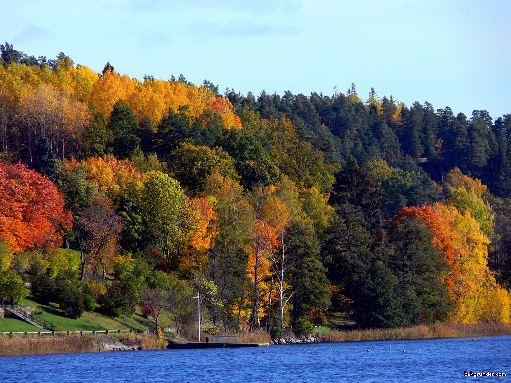 Bakgrundsbilder - Skrivbordsunderlägg