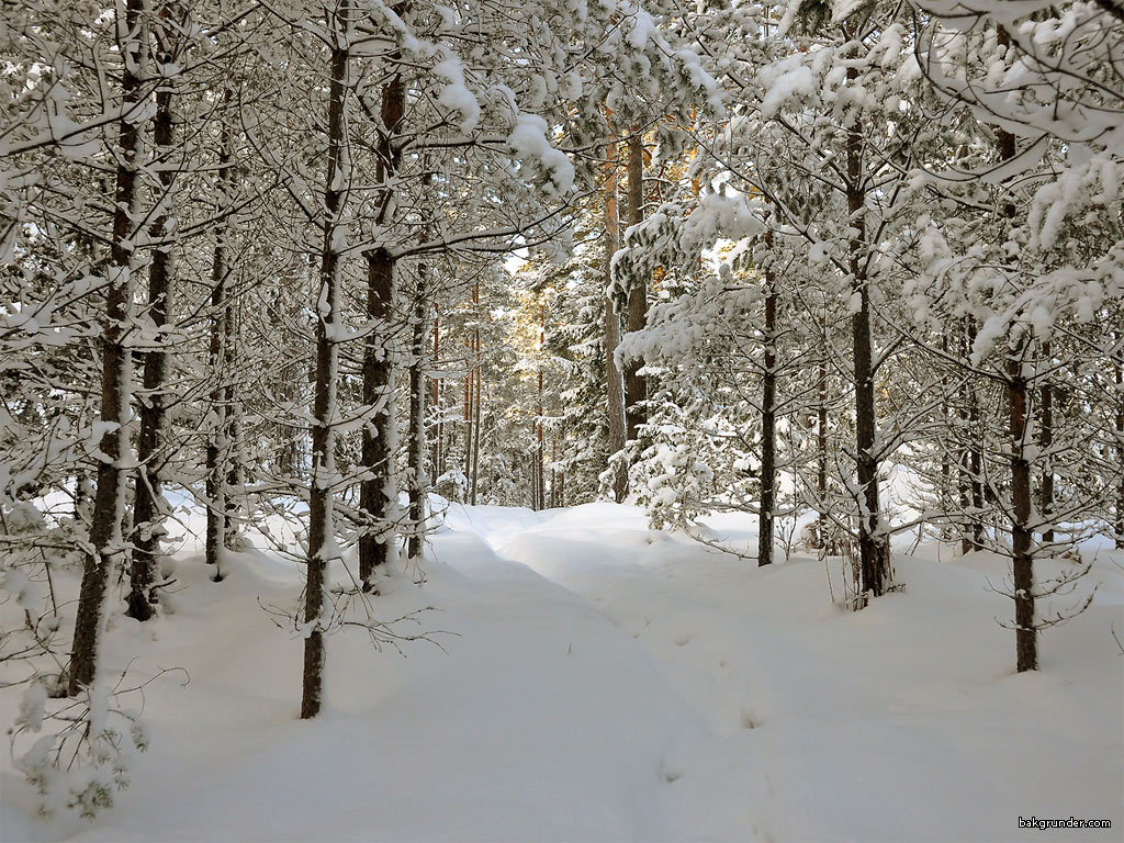 Bakgrundsbilder - Skrivbordsunderlägg