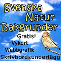 Svenska Natur Bakgrunder - Vykort - Webbgrafik - Skrivbordsunderlägg