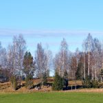 Vårlandskap