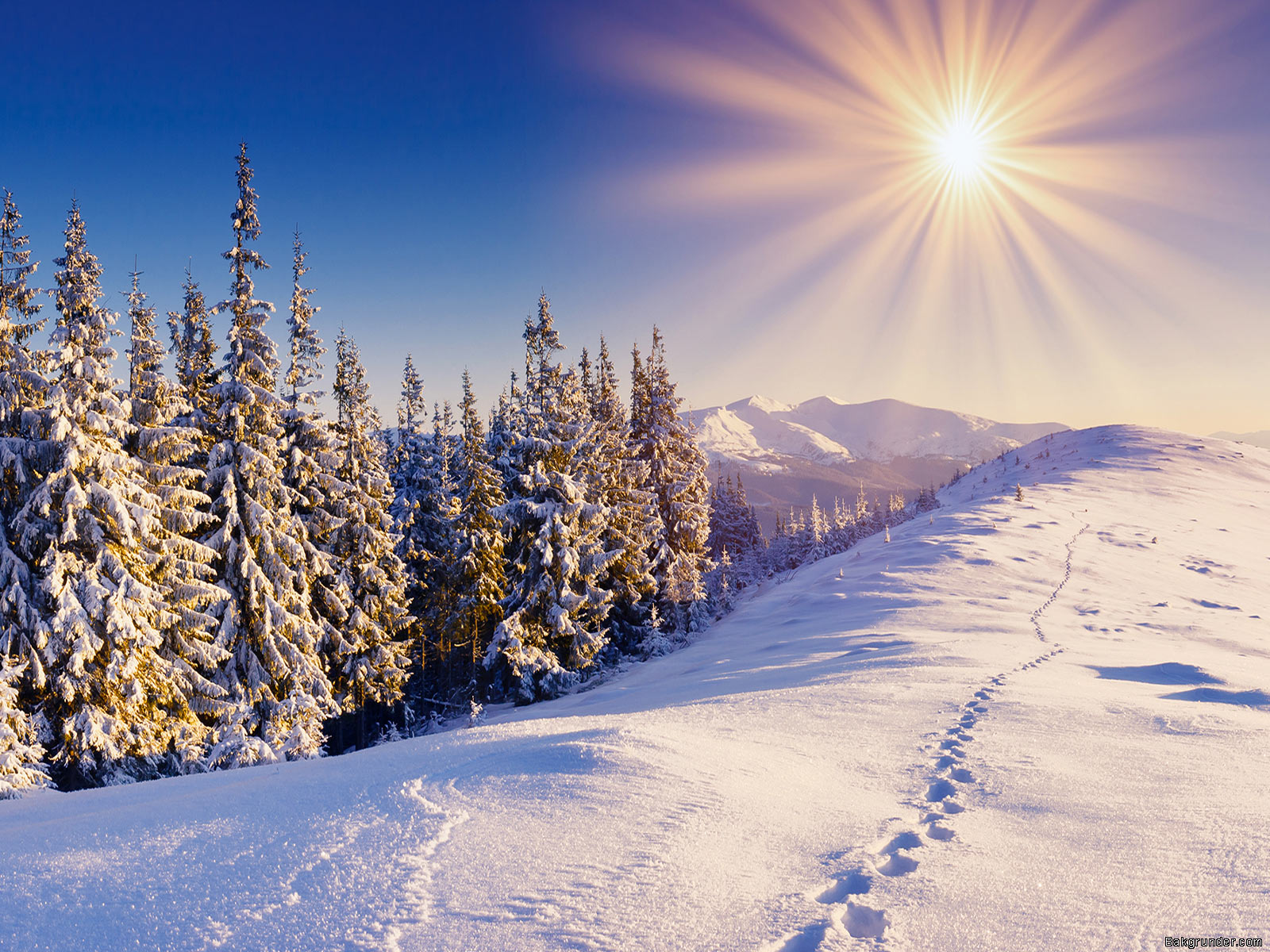 Vinterlandskap – Winter scenes – bakgrundsbilder