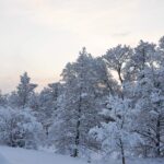 Vinteridyll snölandskap